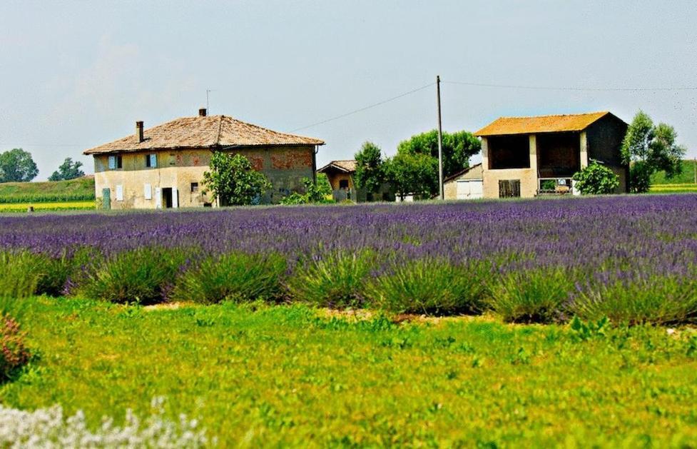 伊尔姆勒罗酒店 Fiorentina 外观 照片